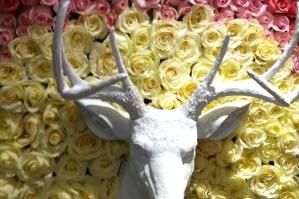 Alexan Events Deer + Roses