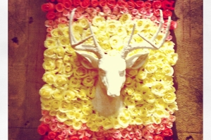 Deer + roses