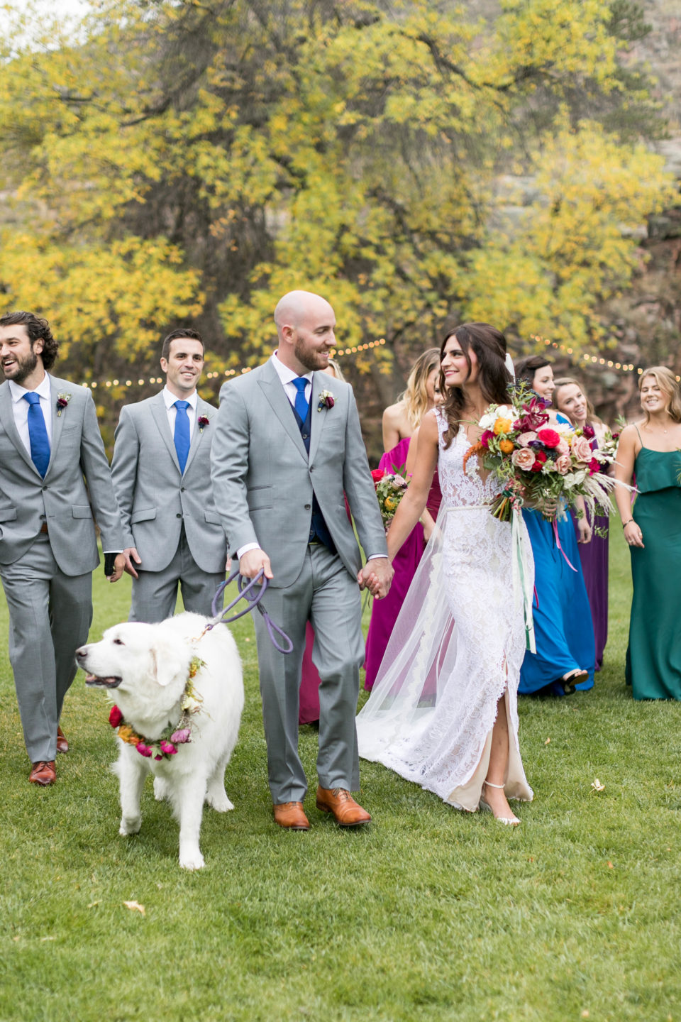 Colorful Bridal Party Dog 