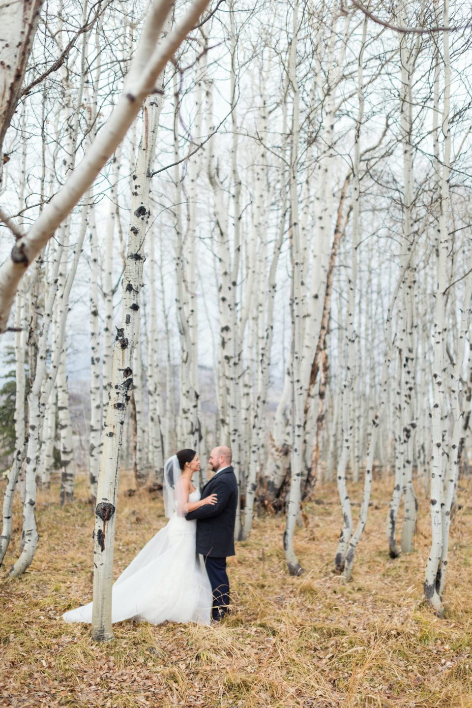 Aspen Tree Wedding Couple Portrait