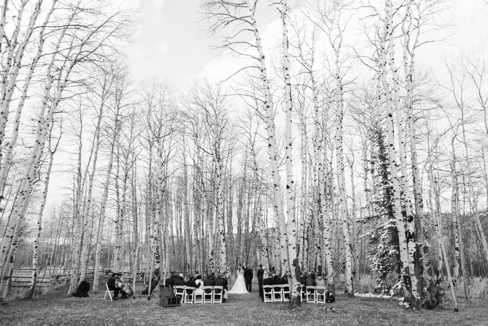 Aspen Tree Grove Ceremony