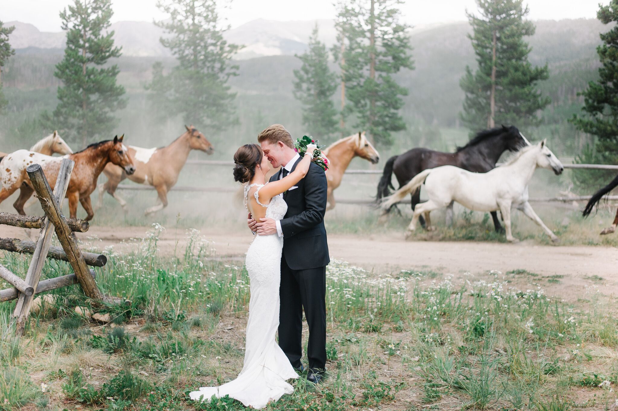 newlyweds with horses racing